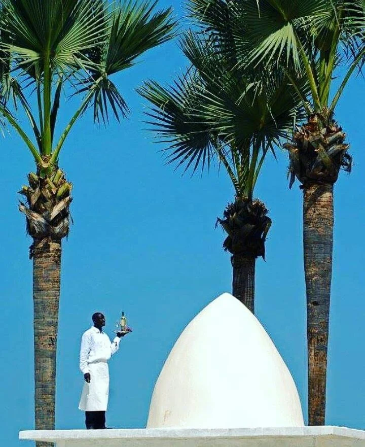 Coco Ocean white dome and palm architecture detail